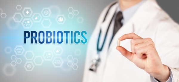 Mogućnosti koncepta primene probiotika u prevenciji rezistencije na antibiotike
