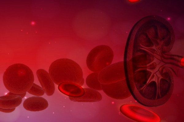 Anemija u hroničnoj bolesti bubrega