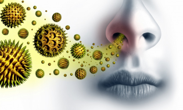 Primena antihistaminika u tretmanu alergija - savremene preporuke