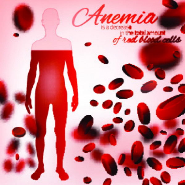 Sideropenijska anemija - uloga hemskog gvožđa